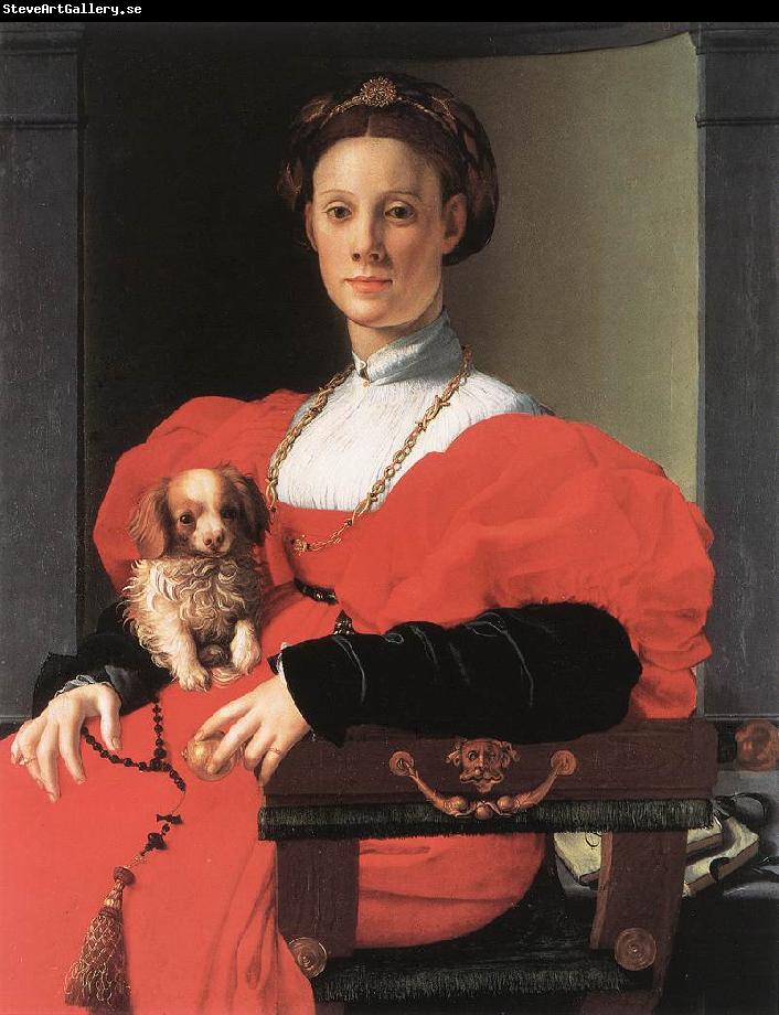 BRONZINO, Agnolo Portrait of a Lady with a Puppy f